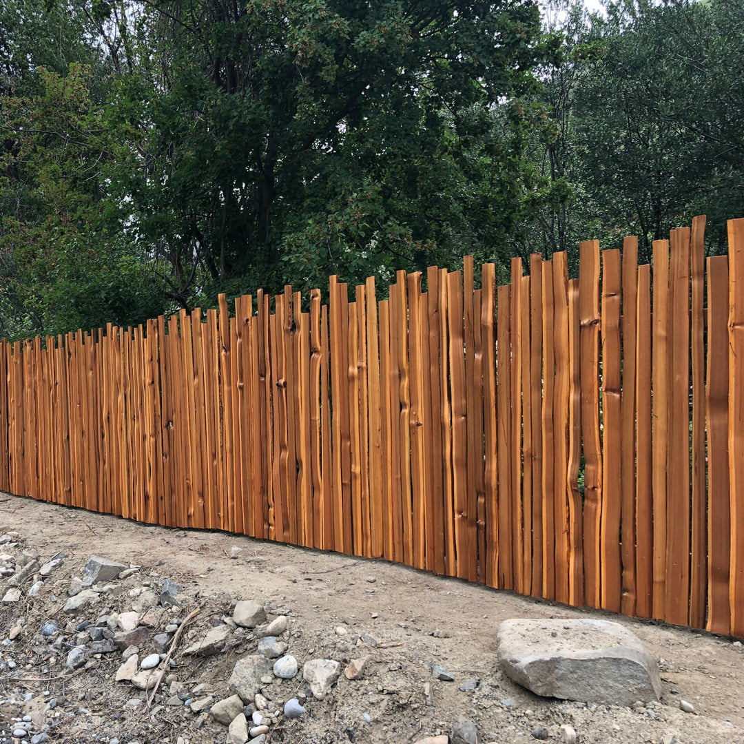 Lovitt's Emerald Gold in Honey color on this split cedar fence